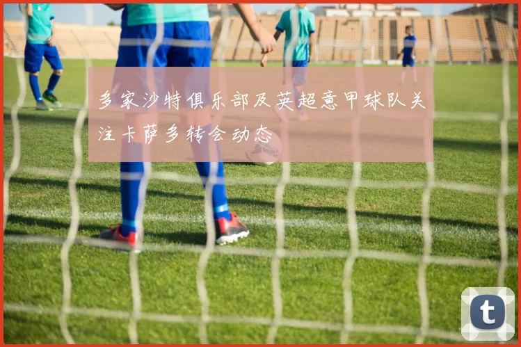多家沙特俱乐部及英超意甲球队关注卡萨多转会动态