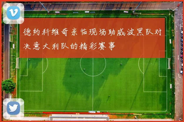 德约科维奇亲临现场助威波黑队对决意大利队的精彩赛事